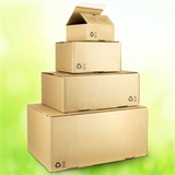 HILDE24 | Markteinführungs-Aktion! laio® Green BOX SCATOLA